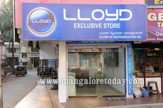 Lloyd Store